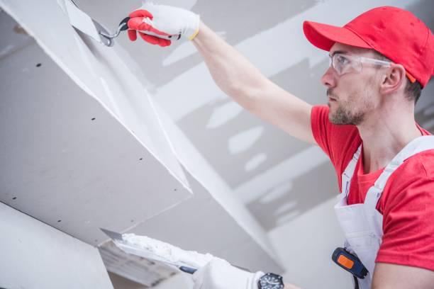 Best Trim and Molding Painting  in Oakbrook Terrace, IL